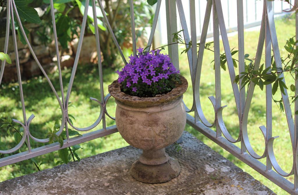 Studio Tea Rovinj Exterior foto